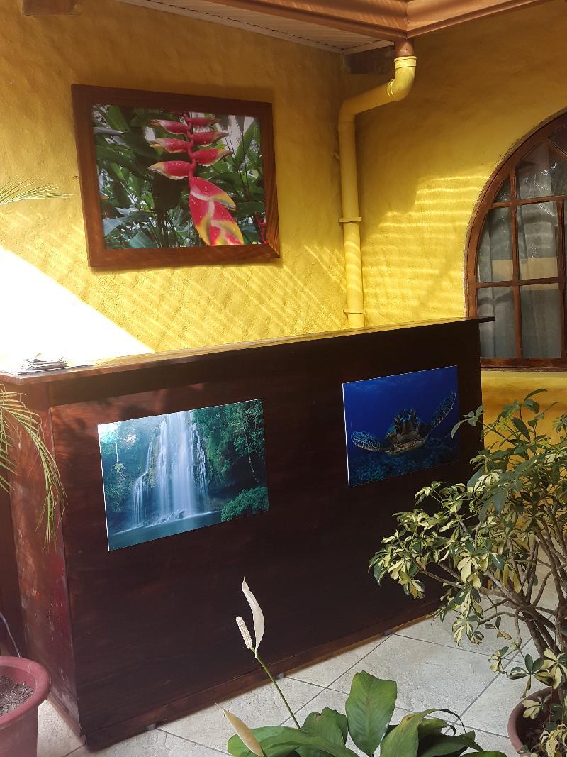 Hotel Colibri Manuel Antonio Exterior photo